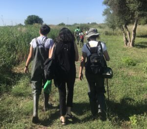 Voluntariado medioambiental en Rafalell i Vistabella